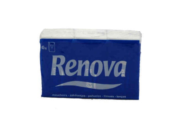 PAÑUELOS RENOVA 6x10 BLANCO