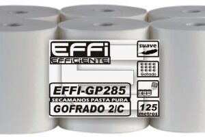SECAMANOS PASTA GOFRADA 2C 6R ECOLABEL